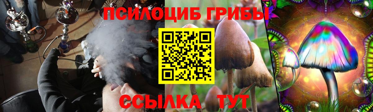 Людиново  Псилоцибиновые грибы GOLDEN TEACHER  Вход с VPN  Галлюциногенные грибы прущие грибы 